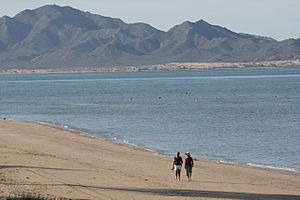 Kino beach stroll