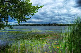 Lake Scugog.jpg