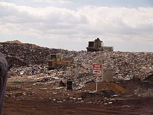 Landfill face