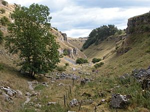 Lathkill Dale looking downdale, about 1 km from Monyash, Derbyshire, UK