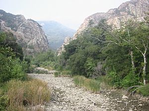 Malibu Creek dry bed.jpg