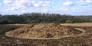 Matley heath bowl barrow