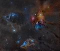 Rho Ophiucus Widefield