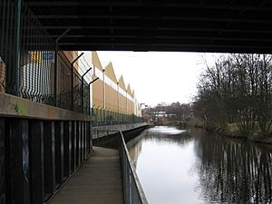 Rotherham - TPT walkway under Centenary Way