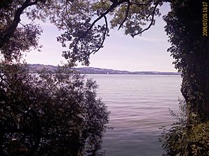 Sempach-Lago 086