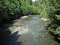 Skagit RiverInCanada