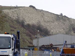 Southerham Machine Bottom Pit (2).jpg