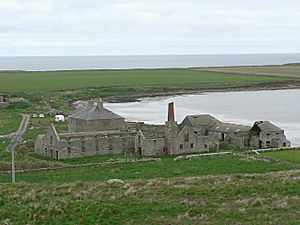 Stove model farm - geograph.org.uk - 230874