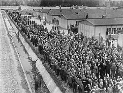 Survivors liberation dachau