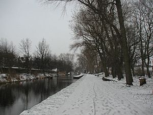 Union Canal at Shandon