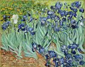 VanGoghIrises2