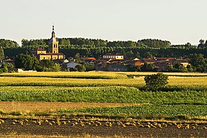 Villarejo de Órbigo in 2006