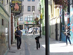 2017 Jack Kerouac Alley.jpg