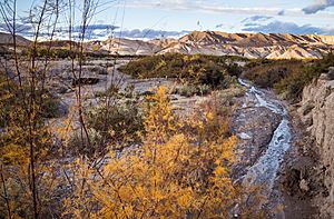 Amargosa River Basin