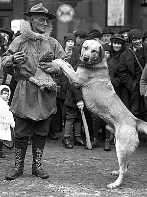 Arthur T. Walden and Chinook.JPG