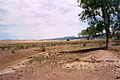 Black Hills Desert