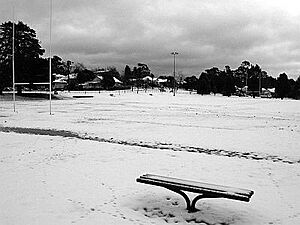 Blackheath NSW Snow20-6-07-35