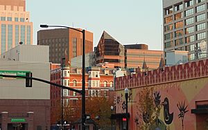 Boise Skyline 2013