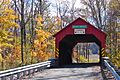 Books Bridge 2