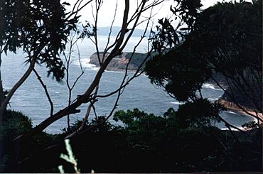 Bouddi NP 2.JPG