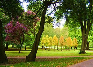 Bute Park, Cardiff