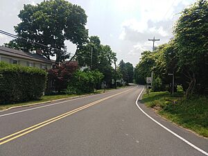 Looking south along Cherryville Road (CR 617)