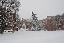 Crownsville Hospital by Webb Zahn.jpg