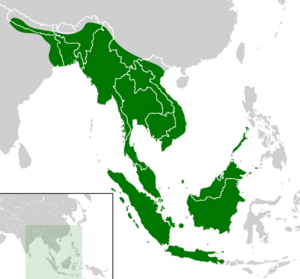 Cyclemys dentata distribution map.png