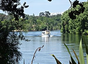 Cynthia Dew on Waikato