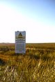 Donna Nook salt marsh