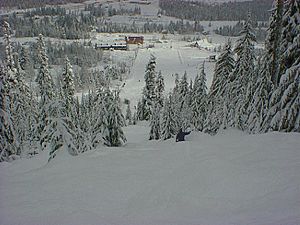 Easy Gold chair at the Summit East ski area