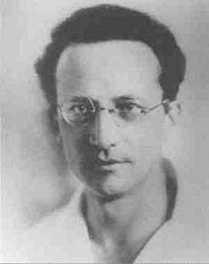 Erwin Schrodinger2