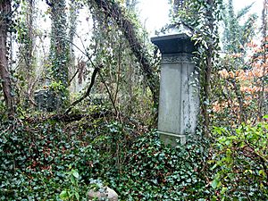 Evergreen cemetery rva