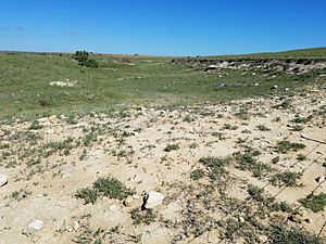 Fencepost limestone Quarry, Ellis County, Kansas 20180623