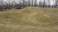 Fort Miamis earthworks