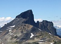 Garibaldi black tusk