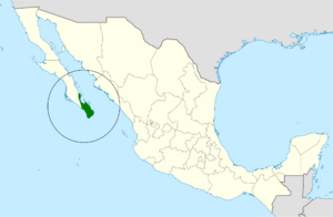 Glaucidium hoskinsii map.svg