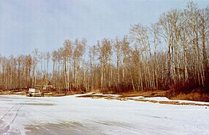 Lake Isle Ice, Alberta, Canada