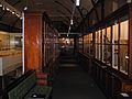 Macleay Museum Interior