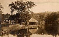 Millpond, West Henniker, NH