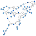 Moreno Sociogram 8th Grade