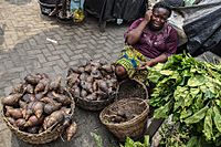 Nigeria snails2