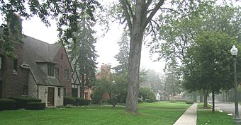 Palmer Woods Streetscape, Detroit MI.jpg