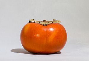 Persimmon (fuyu)