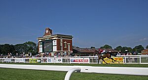 Ripon Races (28866486818)