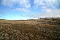 Santa rosa island view