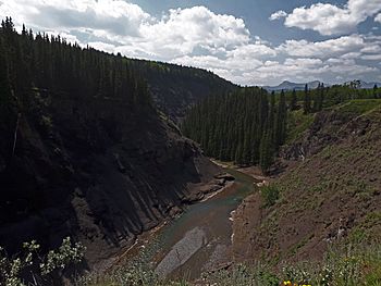 Sheep River gorge.jpg