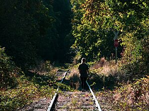 Sherwood railtracks