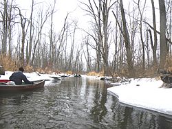 Shiawassee River January 2010