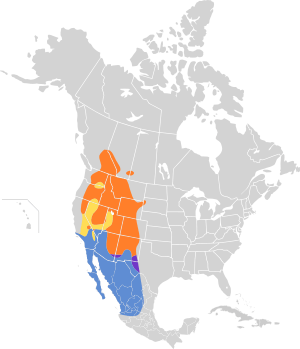 Sphyrapicus nuchalis map.svg